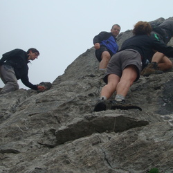2011